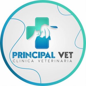 Principal Vet  – Clínica Veterinaria